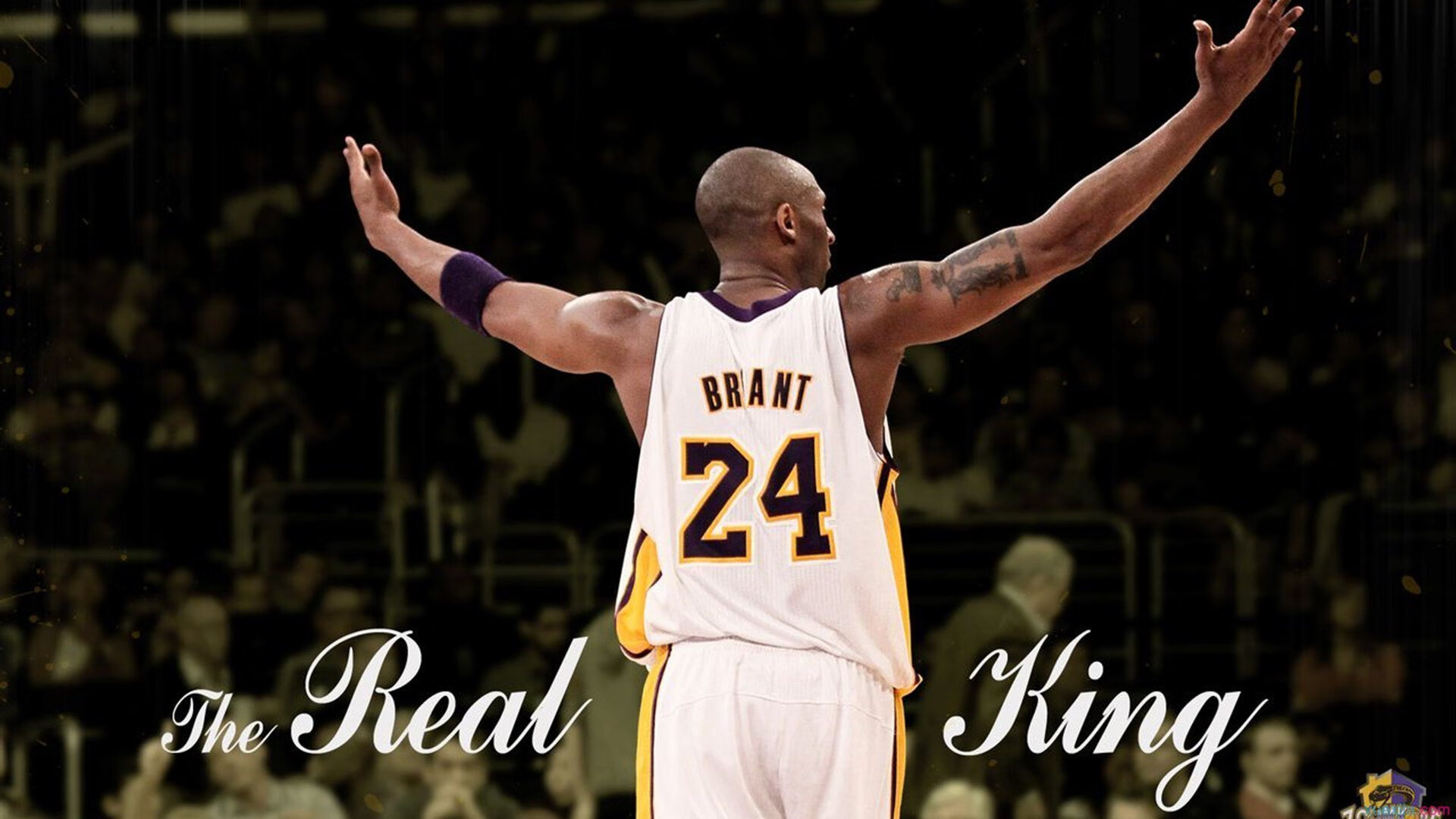 欢庆赛季结束：年度嘉年华盛大开启，嘉年华系列赛进度